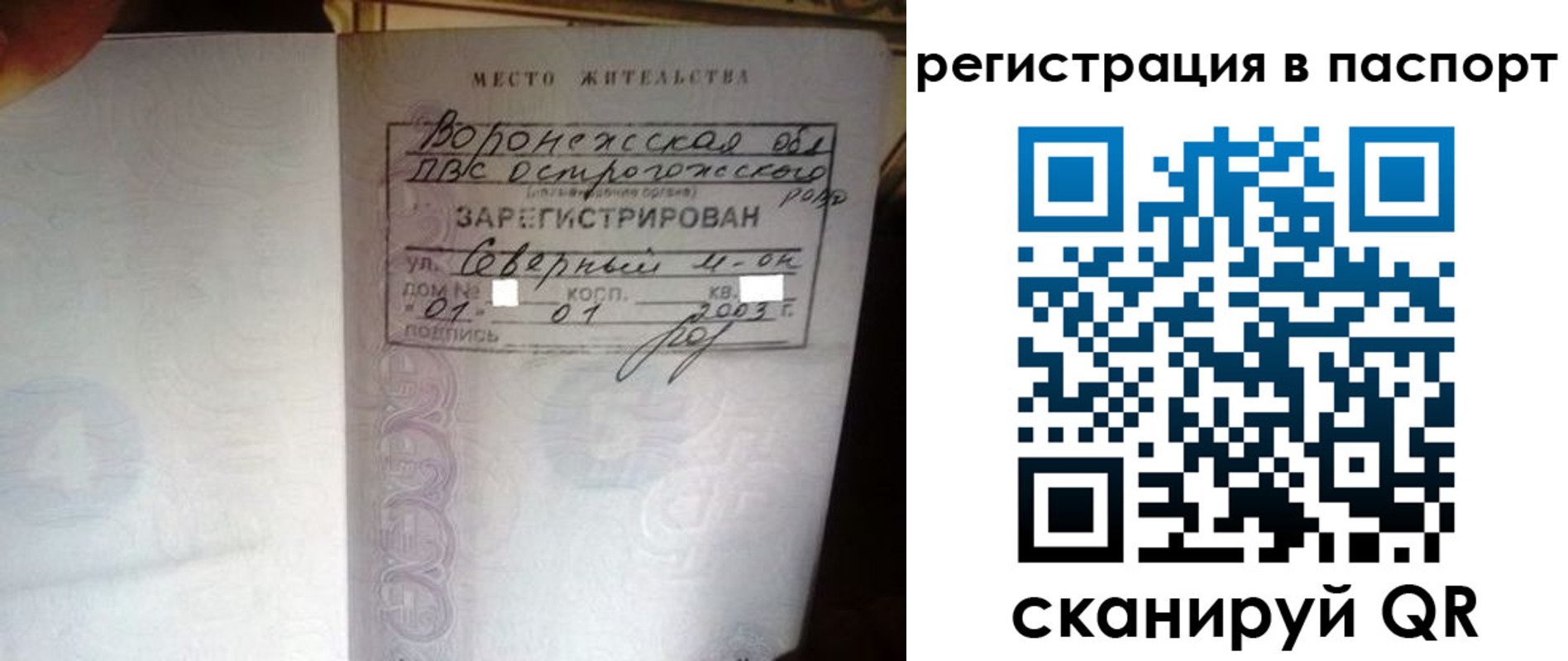 прописка для школы в Раменском